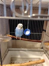 6月とは。ʘ⁠‿⁠ʘ