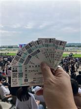 今年も白いの