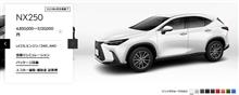 NX250　今月で終了