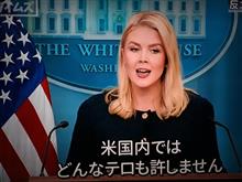 レビット報道官