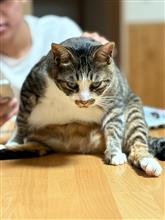 本日の休みは家でのんびり。 本日の休みは家でのんびり。