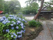 縁切寺☆さだまさし 縁切寺☆さだまさし