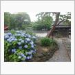 縁切寺☆さだまさし