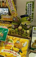 キウイブラザーズ