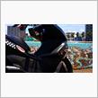 PCX11年目の大メンテの画像