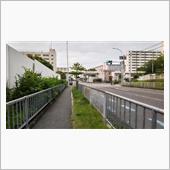 気になる・・・👀？