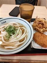 本日のランチ