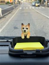 愛犬 ちょんび