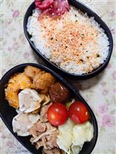 255日目
