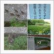 梅雨の晴れ間に　ホッと一息　☔　散歩も季節感だね　🐾❢