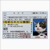 5年免許の最終は、ゴールド！？