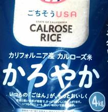 今日も色々と活動中デス