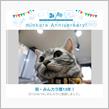 祝・みんカラ歴13年！