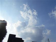 6月の真夏日