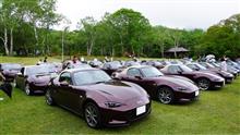 アースカラー･ミーティング女神湖2025に参加しました🚗🎶