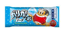 暑くてたまらない日は…やっぱりガリガリ君！