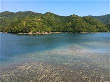 釣りしよう