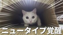 向こう側からやってきた元太郎✨