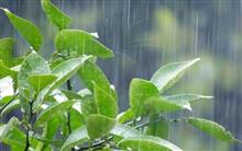 今の日本には梅雨なんかない、(・_・;)。