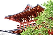 多賀城史跡とちょっぴりアヤメ