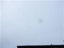６月２５日　雨模様になりそうな折り返しの水曜日、おはよ～♪
