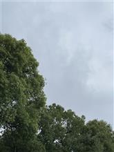 雨☂️☔️上がる❓