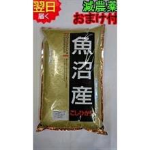 魚沼産…コシヒカリ…