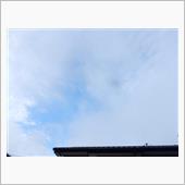 ６月２６日　朝から蒸し暑い木 ...