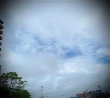 蒸し暑い木曜日の朝。