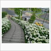 everyday 朝空冷 ～ ...