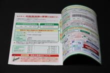 カブの自賠責保険