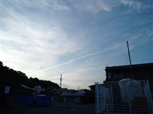 盛大に撒いています