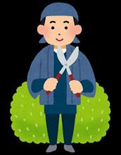 庭木の剪定！(続き)