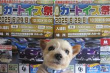 本日ミニカーイベントいざ浜松へ🚙☀️　🌅💩🍱🍱🍱◎🙆