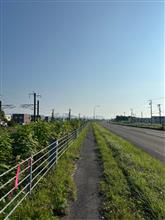 6月最終の日曜日