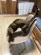 不条理ぢゃ