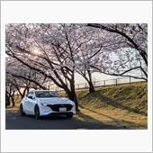 50,000kmまで乗った感想