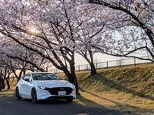 50,000kmまで乗った感想