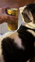🍻乾杯