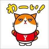 ワイモバイル乗換総括