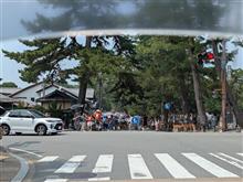 奈良公園のインバウンド減ったな、７月5日のうわさが響しているのを実感。