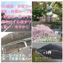 レインボーブリッジと比較は可愛そうだね『河津七滝ループ橋』❢
