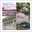 レインボーブリッジと比較は可愛そうだね『河津七滝ループ橋』❢