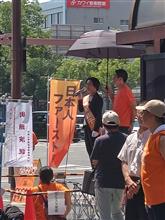 参議院選挙、参政党🙋