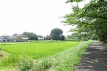 「べらぼう」日本堤 ロケ地を訪ねる（ピンポイントで）。 