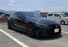 レビュー
