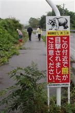 早朝空き缶拾い
