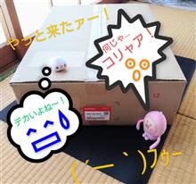 『「77305−T82−003ZA（SET,DR LW※NH900L※）」(~O~;) ﾅｯ､ﾅﾝﾔｯ !?』&amp;　ちょっと昔話🍑