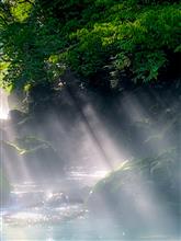 円原川光芒撮影