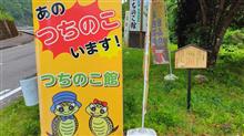 美濃白川・東白川観光